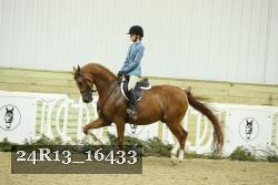 24R13_16433 thumbnail