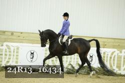 24R13_16434 thumbnail