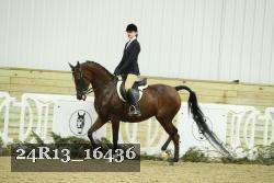 24R13_16436 thumbnail