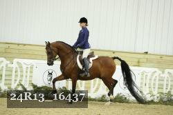 24R13_16437 thumbnail