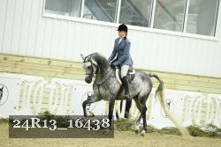 24R13_16438 thumbnail