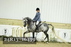 24R13_16439 thumbnail