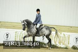 24R13_16440 thumbnail