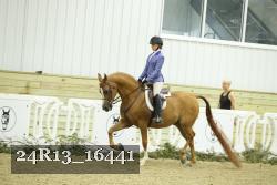 24R13_16441 thumbnail