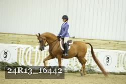 24R13_16442 thumbnail