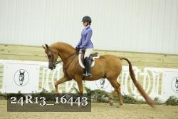 24R13_16443 thumbnail