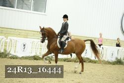 24R13_16444 thumbnail