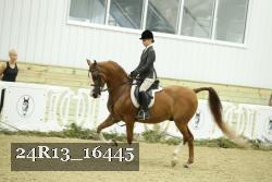 24R13_16445 thumbnail