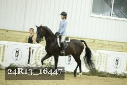 24R13_16447 thumbnail