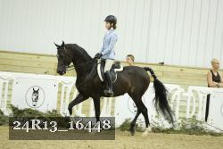 24R13_16448 thumbnail