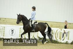 24R13_16449 thumbnail