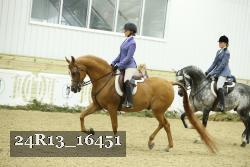 24R13_16451 thumbnail