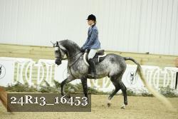 24R13_16453 thumbnail