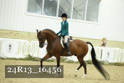 24R13_16456 thumbnail