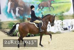 24R13_16457 thumbnail