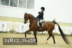 24R13_16458 thumbnail
