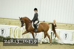 24R13_16459 thumbnail