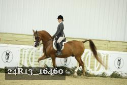 24R13_16460 thumbnail