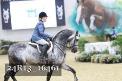 24R13_16461 thumbnail