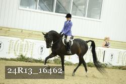 24R13_16462 thumbnail