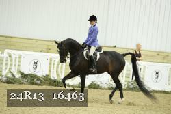24R13_16463 thumbnail