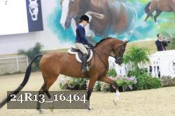 24R13_16464 thumbnail