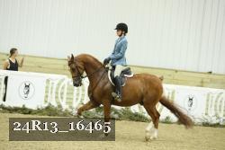 24R13_16465 thumbnail