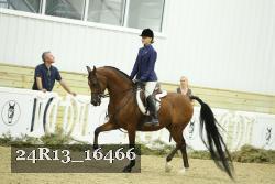 24R13_16466 thumbnail