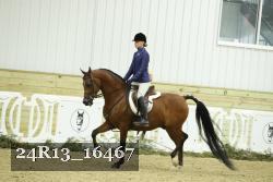24R13_16467 thumbnail