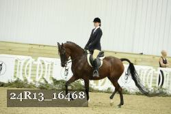 24R13_16468 thumbnail