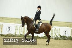 24R13_16469 thumbnail