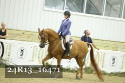 24R13_16471 thumbnail