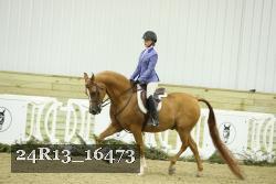 24R13_16473 thumbnail