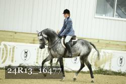 24R13_16477 thumbnail