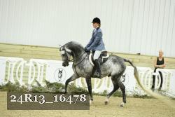24R13_16478 thumbnail