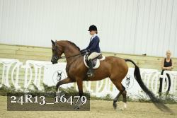 24R13_16479 thumbnail