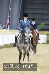 24R13_16481 thumbnail