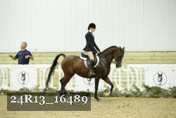 24R13_16489 thumbnail