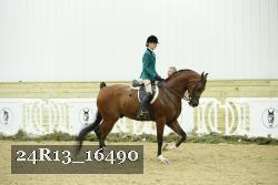 24R13_16490 thumbnail