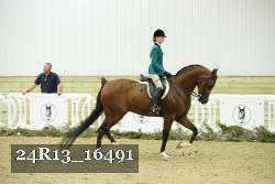 24R13_16491 thumbnail