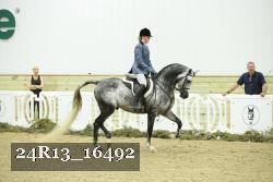 24R13_16492 thumbnail