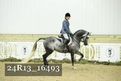 24R13_16493 thumbnail