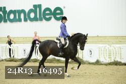 24R13_16495 thumbnail