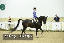 24R13_16496 thumbnail