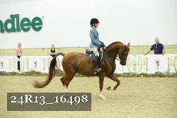 24R13_16498 thumbnail