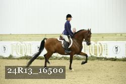 24R13_16500 thumbnail