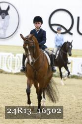 24R13_16502 thumbnail