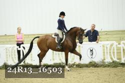 24R13_16503 thumbnail