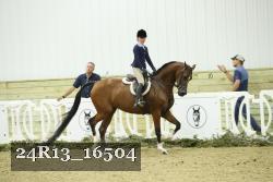 24R13_16504 thumbnail