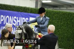 24R13_16524 thumbnail